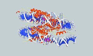 dna nucleosome 3d x