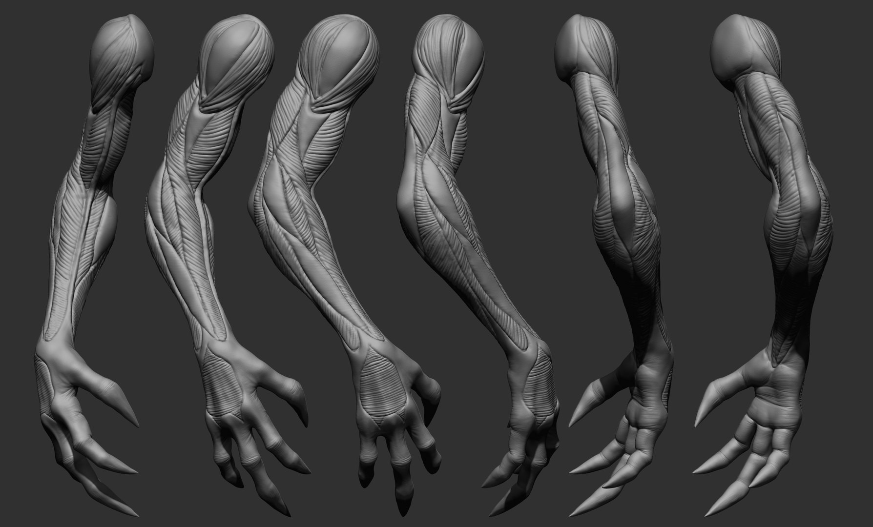 3D 25 Creature arms model https://p.turbosquid.com/ts-thumb/He/bVl7u5/3X/29/jpg/1663160970/1920x1080/fit_q87/9a89e0bce9b187341b41c4799d44541fa2a60088/29.jpg