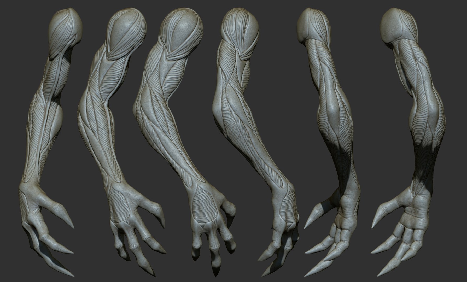 3D 25 Creature arms model https://p.turbosquid.com/ts-thumb/He/bVl7u5/BG/28/jpg/1663160969/1920x1080/fit_q87/075365ce4359a5d656fc28f68b51c1b0c686b328/28.jpg
