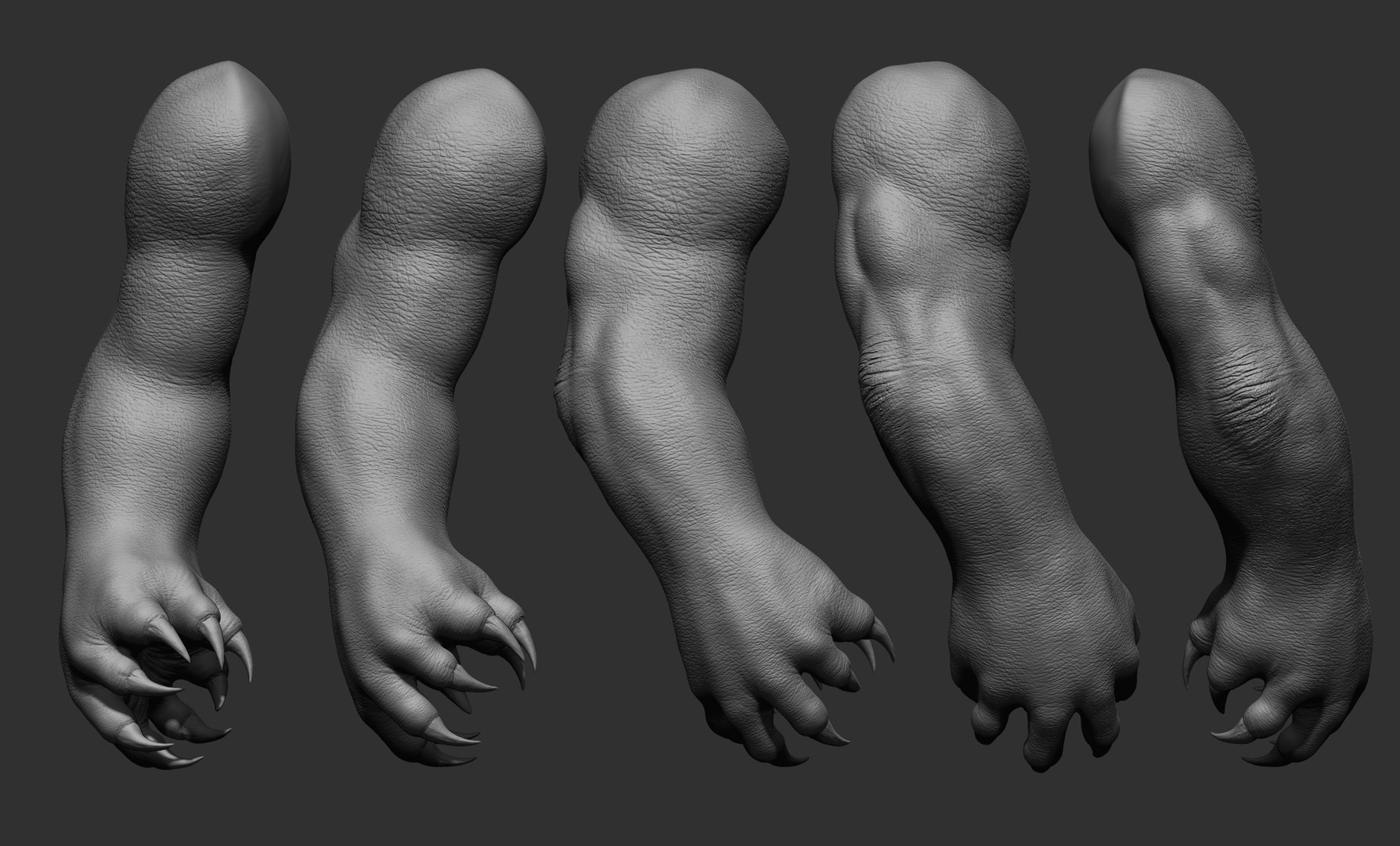 3D 25 Creature arms model https://p.turbosquid.com/ts-thumb/He/bVl7u5/XM/39/jpg/1663160974/1920x1080/fit_q87/ba8b93c5f275f3f1add938a07edfc2a341059493/39.jpg