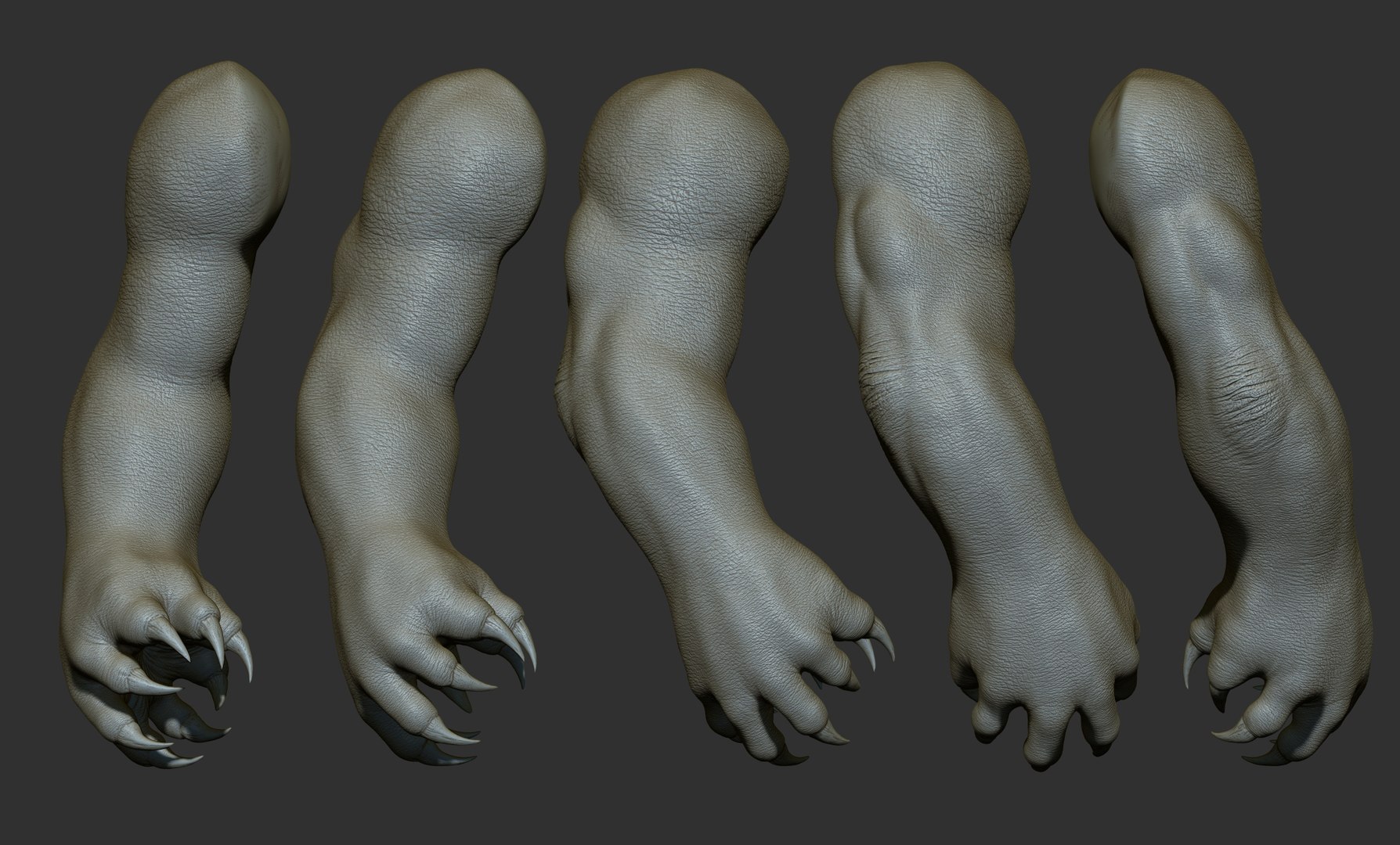 3D 25 Creature arms model https://p.turbosquid.com/ts-thumb/He/bVl7u5/jX/38/jpg/1663160974/1920x1080/fit_q87/1bb6a10140f754c90abcc93fbbc6e38ceb587964/38.jpg