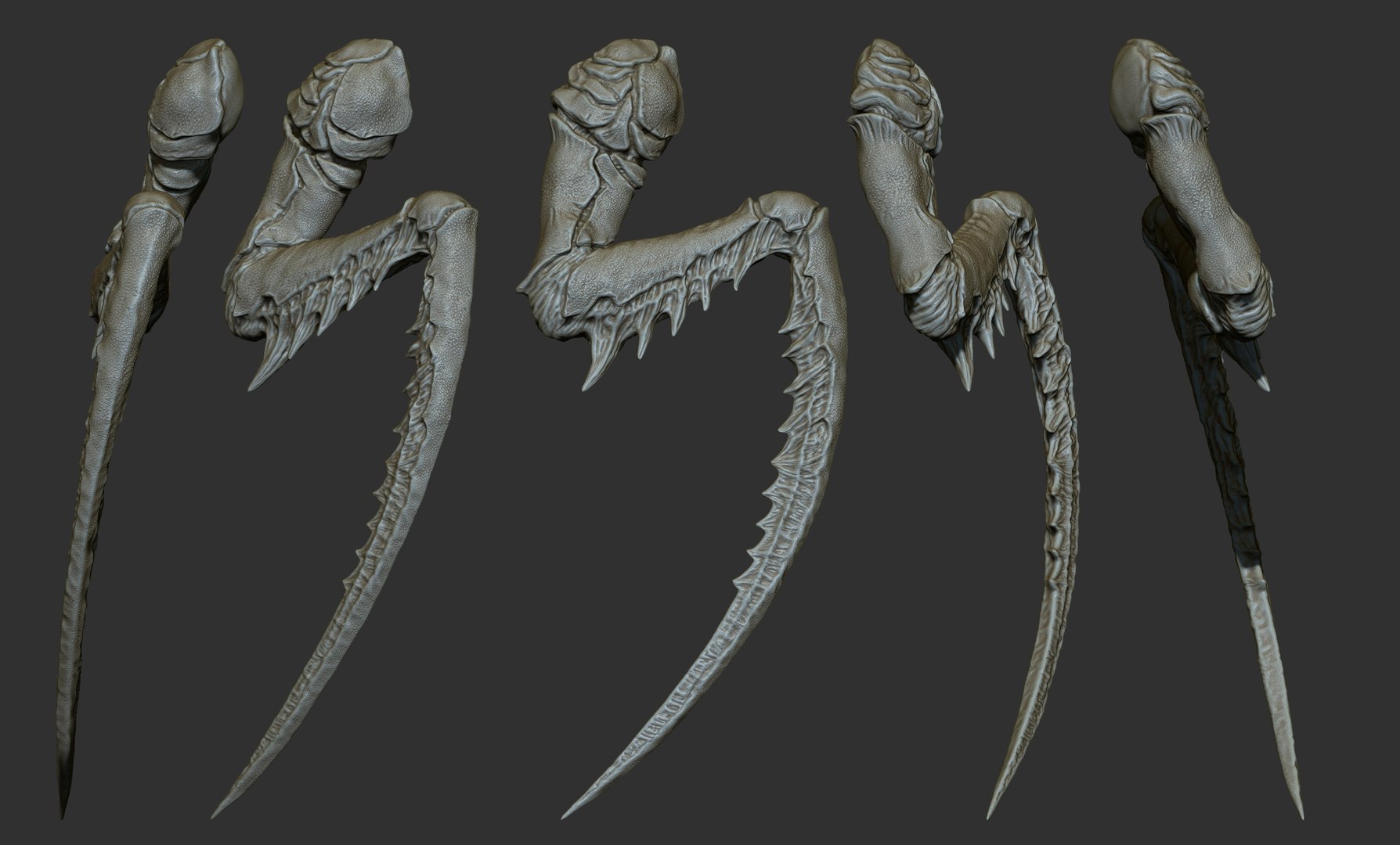 3D 25 Creature arms model https://p.turbosquid.com/ts-thumb/He/bVl7u5/k1/48/jpg/1663160979/1920x1080/fit_q87/14e49bee80607c3337350e3c378675f45d92c15f/48.jpg