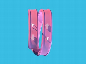 3D loop model