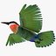Bee Eater Bird Rigged