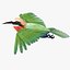 Bee Eater Bird Rigged