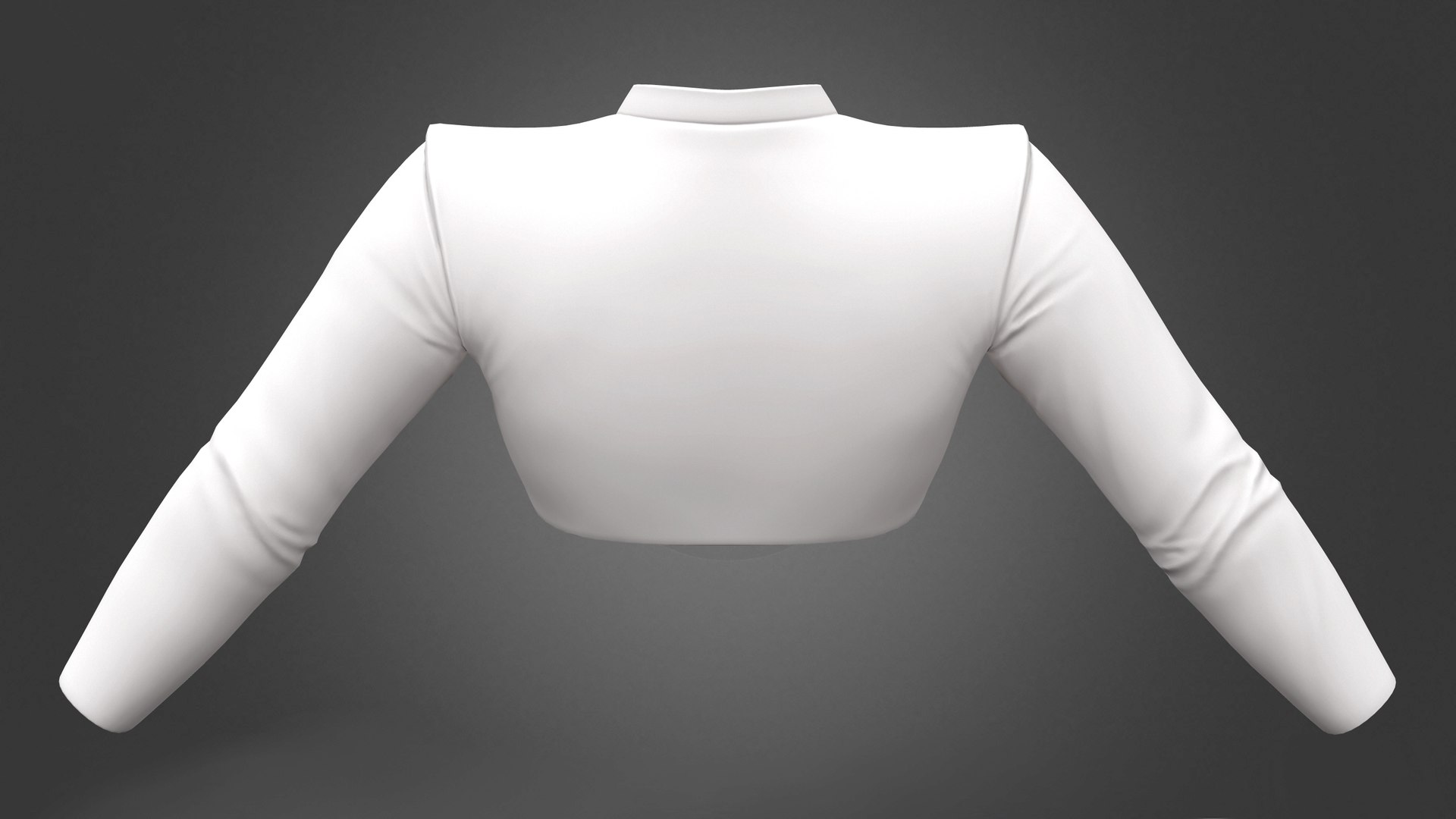 3D Long Sleeves Round Neck Crop Top Model - TurboSquid 1949703