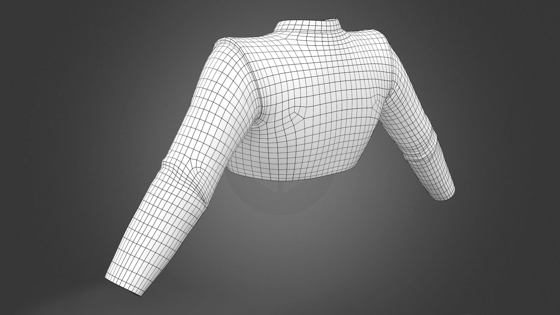 3D Long Sleeves Round Neck Crop Top Model - TurboSquid 1949703