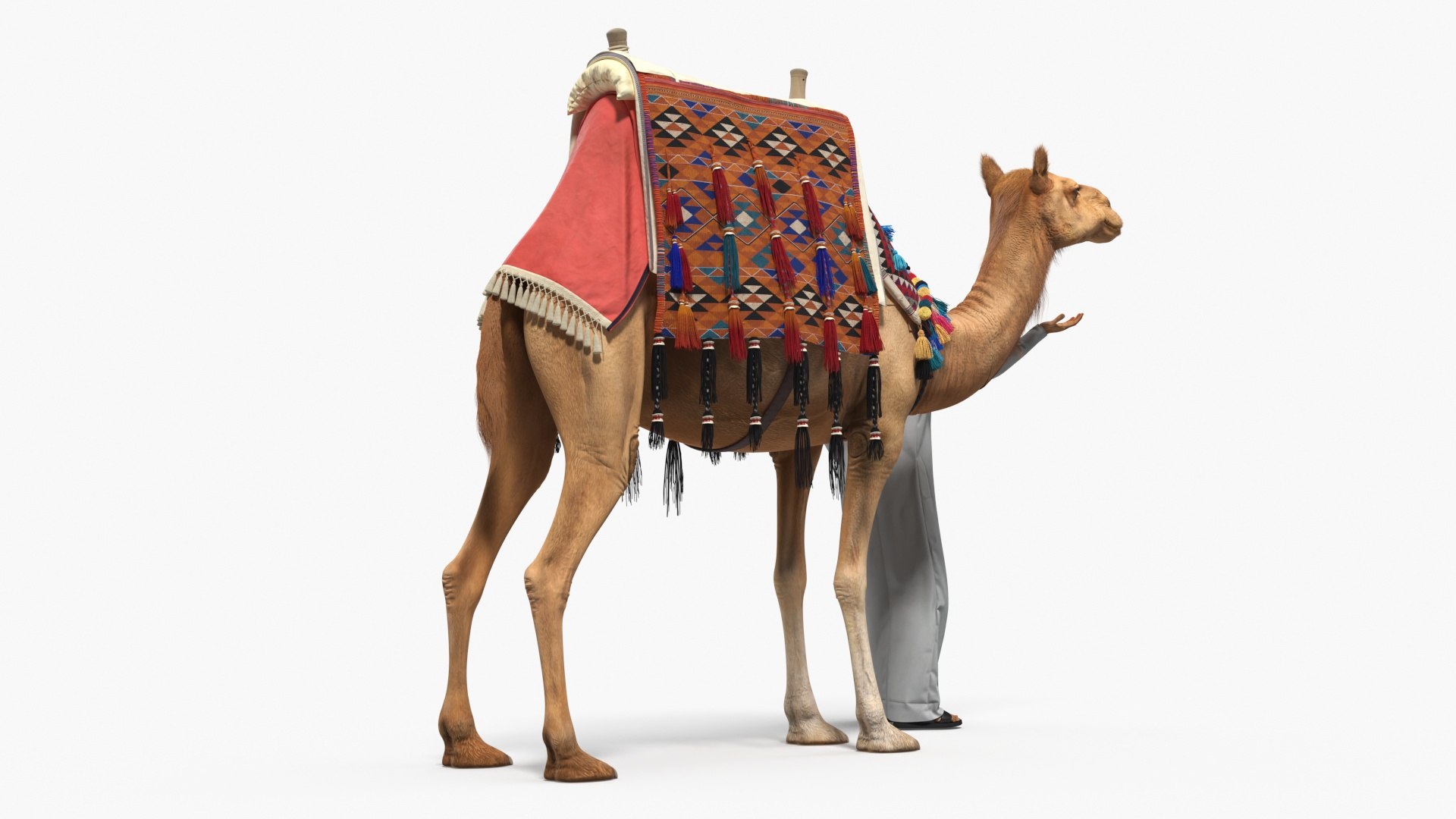 3D model Arab Man with Camel in Cape Fur https://p.turbosquid.com/ts-thumb/He/w8N25q/GN/arab_man_with_camel_in_cape_fur_007/jpg/1740018413/1920x1080/fit_q87/eaeb4844eb957d8edb2da1a446d0f1e2669d0387/arab_man_with_camel_in_cape_fur_007.jpg