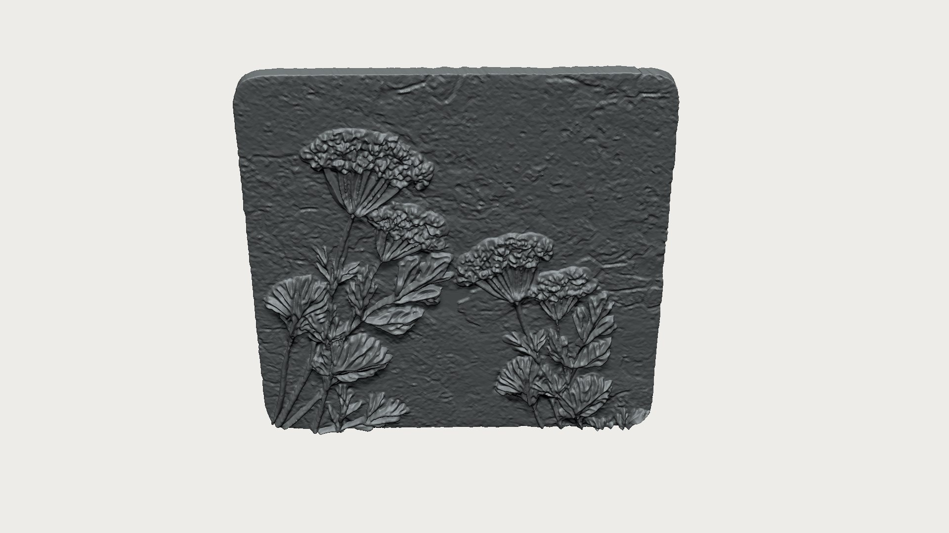 Where Is Another Yarrow Location? – AUXR