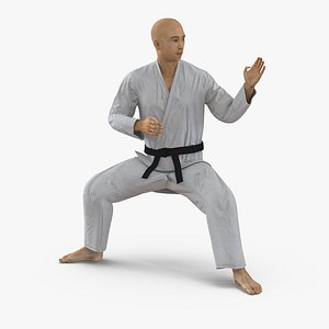 3d japanese karate fighter rigged model