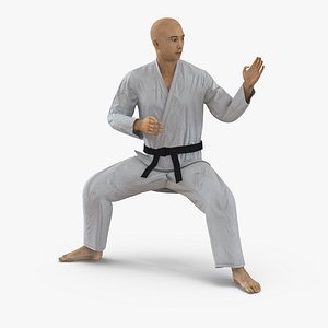 Japanese Karate Fighter Rigged 3D Model