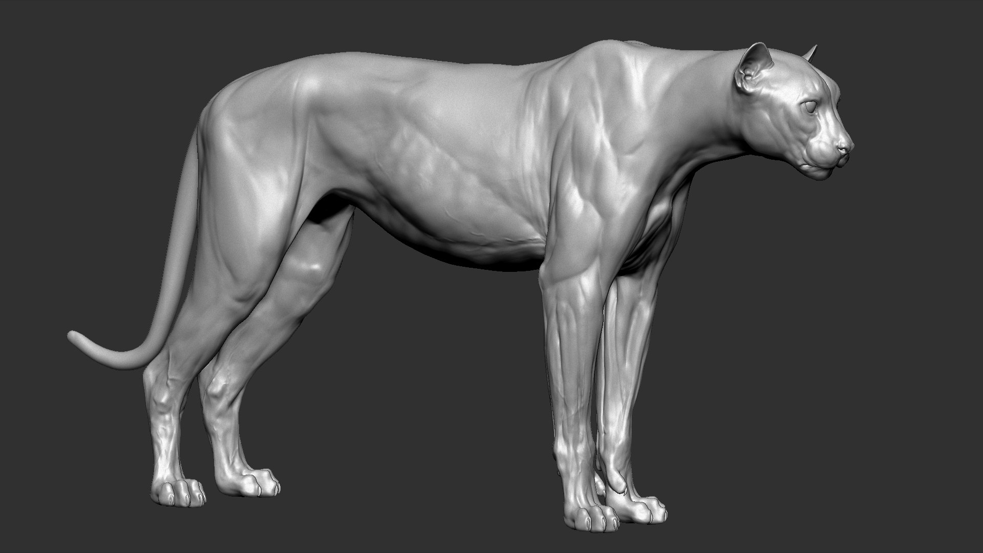 3D Cheetah Sculpt Animal - TurboSquid 1520150