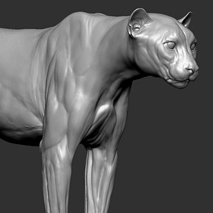 Cheetah Vfx Zbrush Sculpt