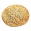 Biscuit
