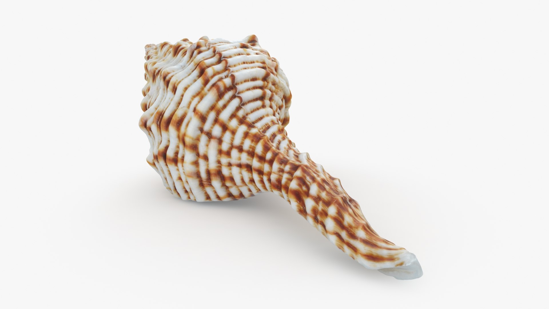 Nicobar Spindle Model - TurboSquid 2282092