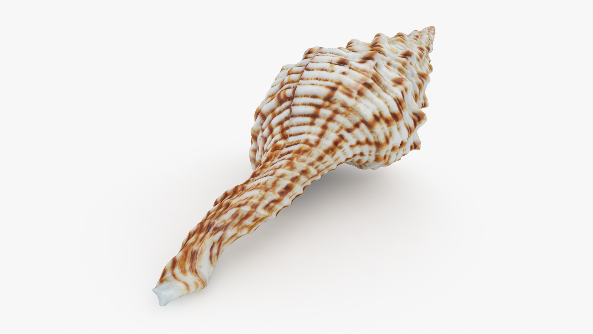 Nicobar Spindle Model - TurboSquid 2282092