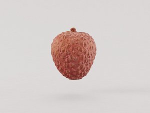 Lychee fruit 3d model