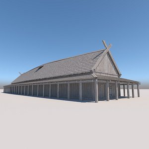 viking house 3D