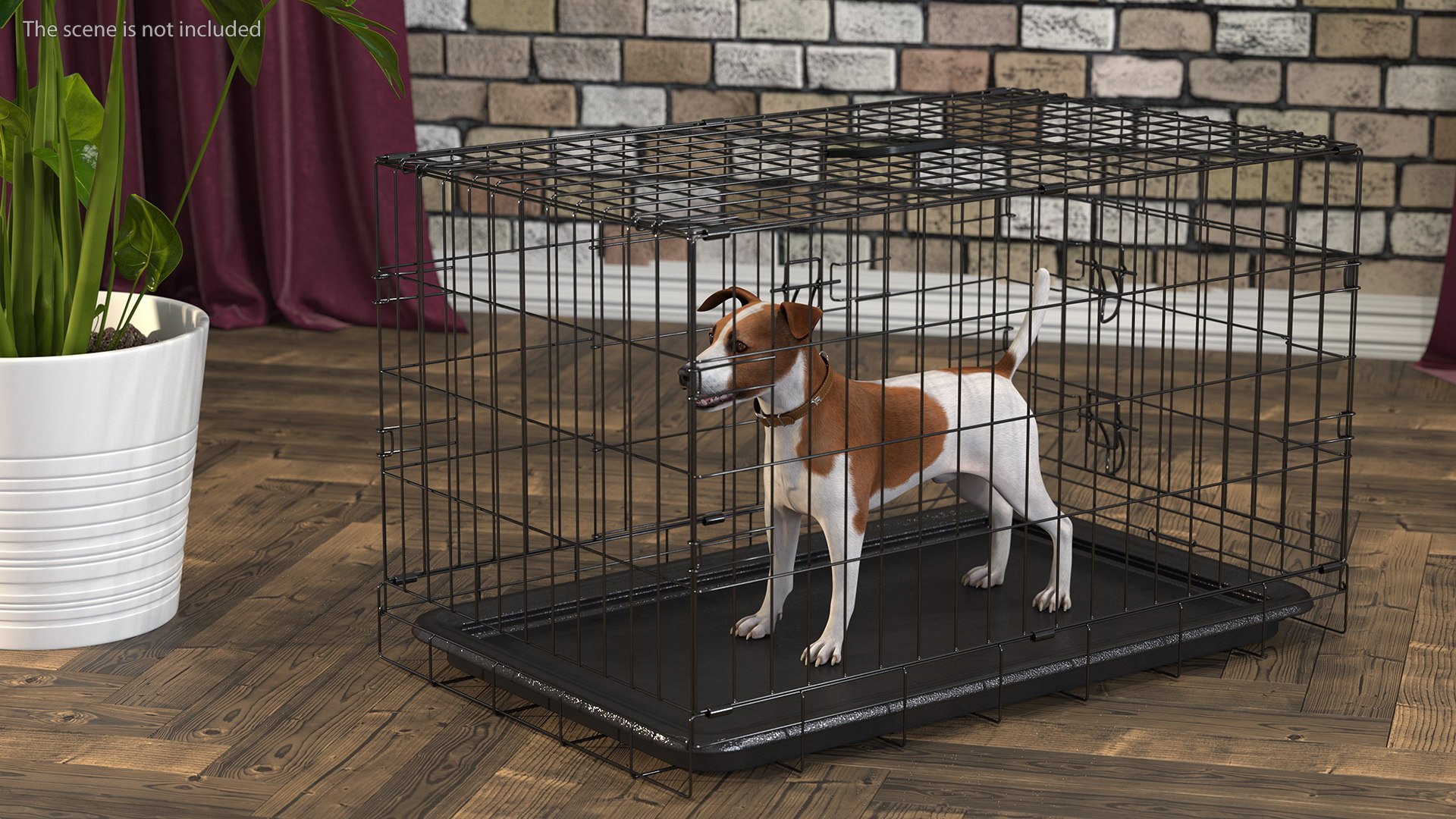 3D Cage with Jack Russell Terrier https://p.turbosquid.com/ts-thumb/Hf/clVZbu/2z/cagewithjackrussellterrier3dsmodel002/jpg/1635434635/1920x1080/fit_q87/f6f505716d005f067d0f1d1510f67e759f2ffad4/cagewithjackrussellterrier3dsmodel002.jpg