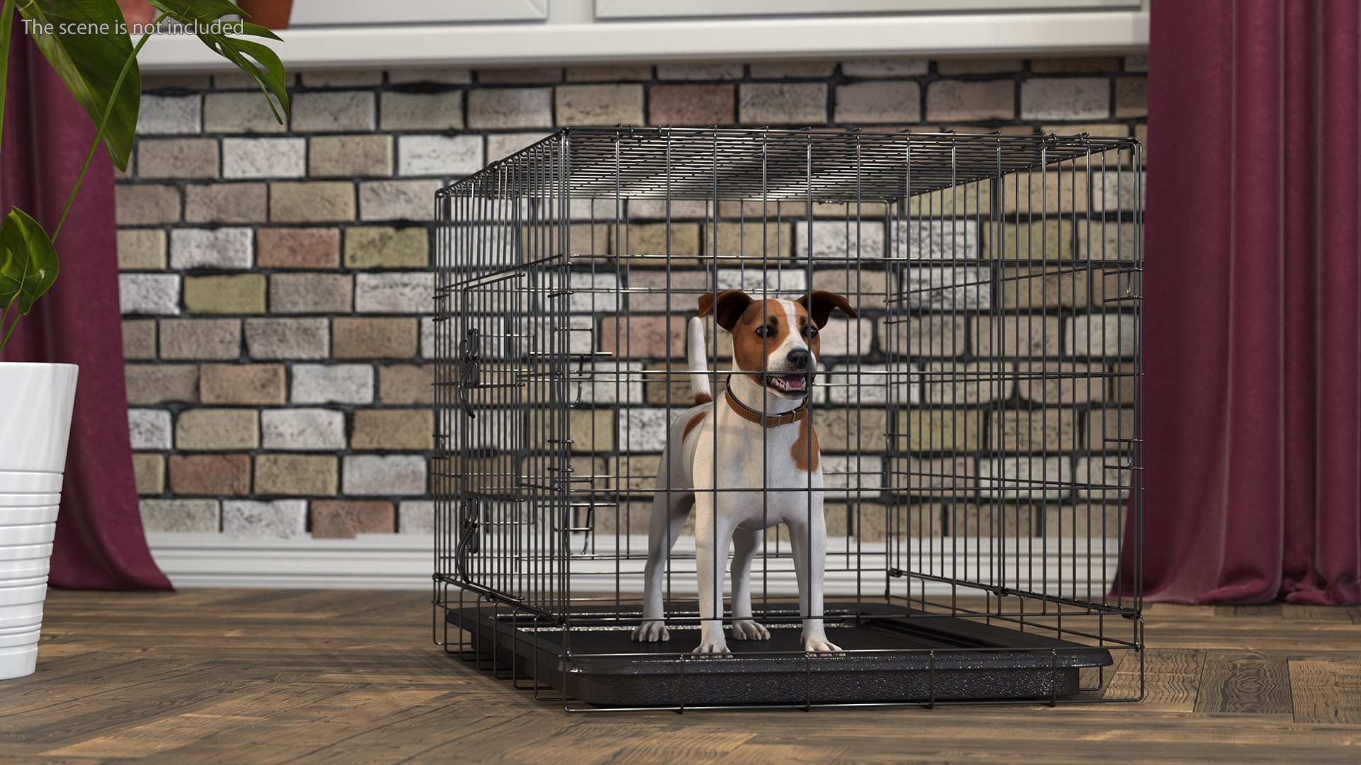 3D Cage with Jack Russell Terrier https://p.turbosquid.com/ts-thumb/Hf/clVZbu/8E/cagewithjackrussellterrier3dsmodel003/jpg/1635434638/1920x1080/fit_q87/bc6b506c970bee4b07e022e9ca27978450da991a/cagewithjackrussellterrier3dsmodel003.jpg
