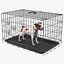 Klatka z Jack Russell Terrierem