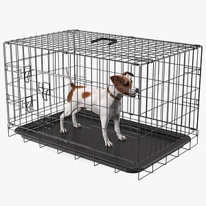 Cage with Jack Russell Terrier