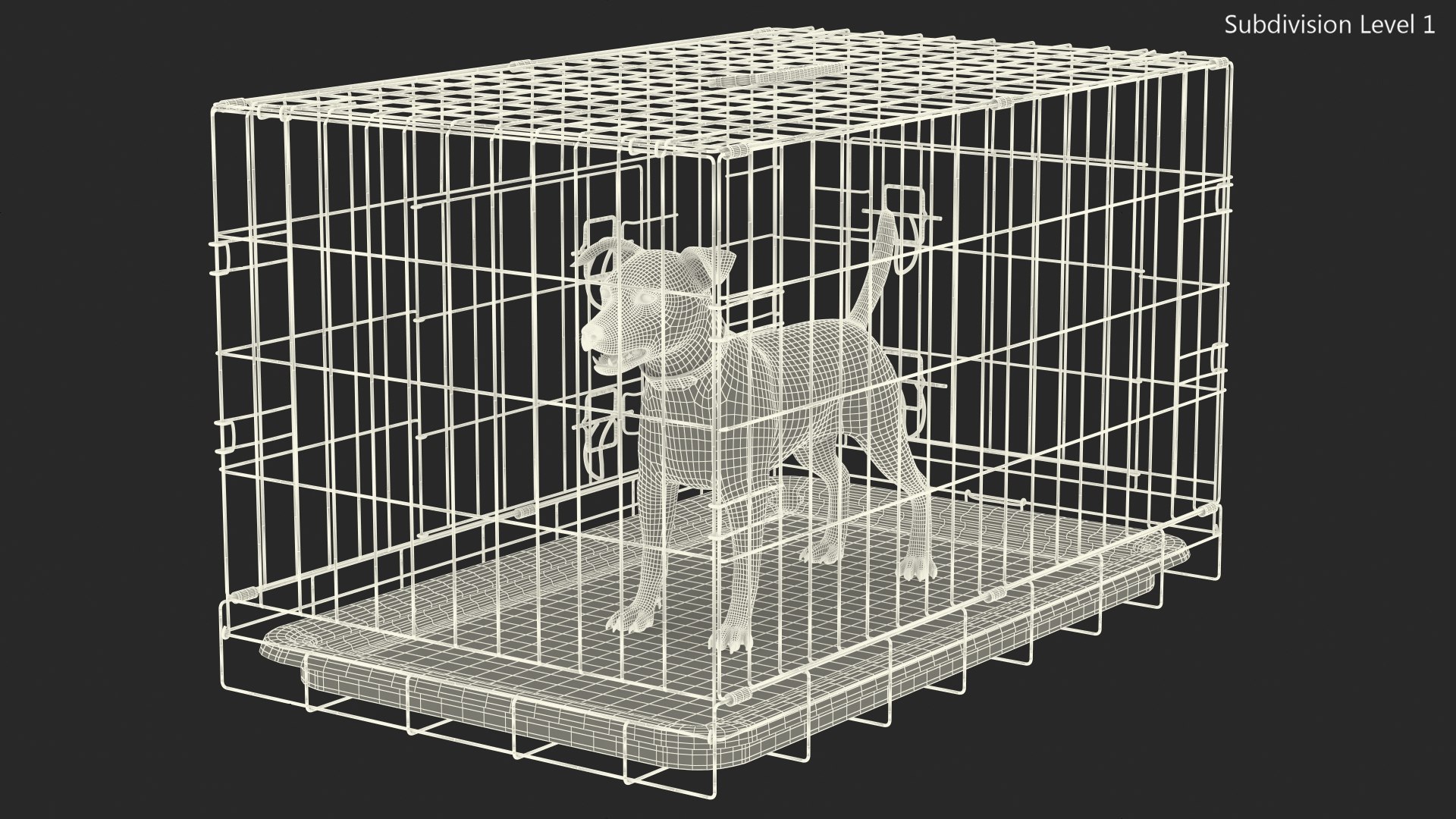 3D Cage with Jack Russell Terrier https://p.turbosquid.com/ts-thumb/Hf/clVZbu/9W/cagewithjackrussellterrier3dsmodel024/jpg/1635434698/1920x1080/fit_q87/538a511adcf9e83fe8e933a12c947d06e5f3812a/cagewithjackrussellterrier3dsmodel024.jpg
