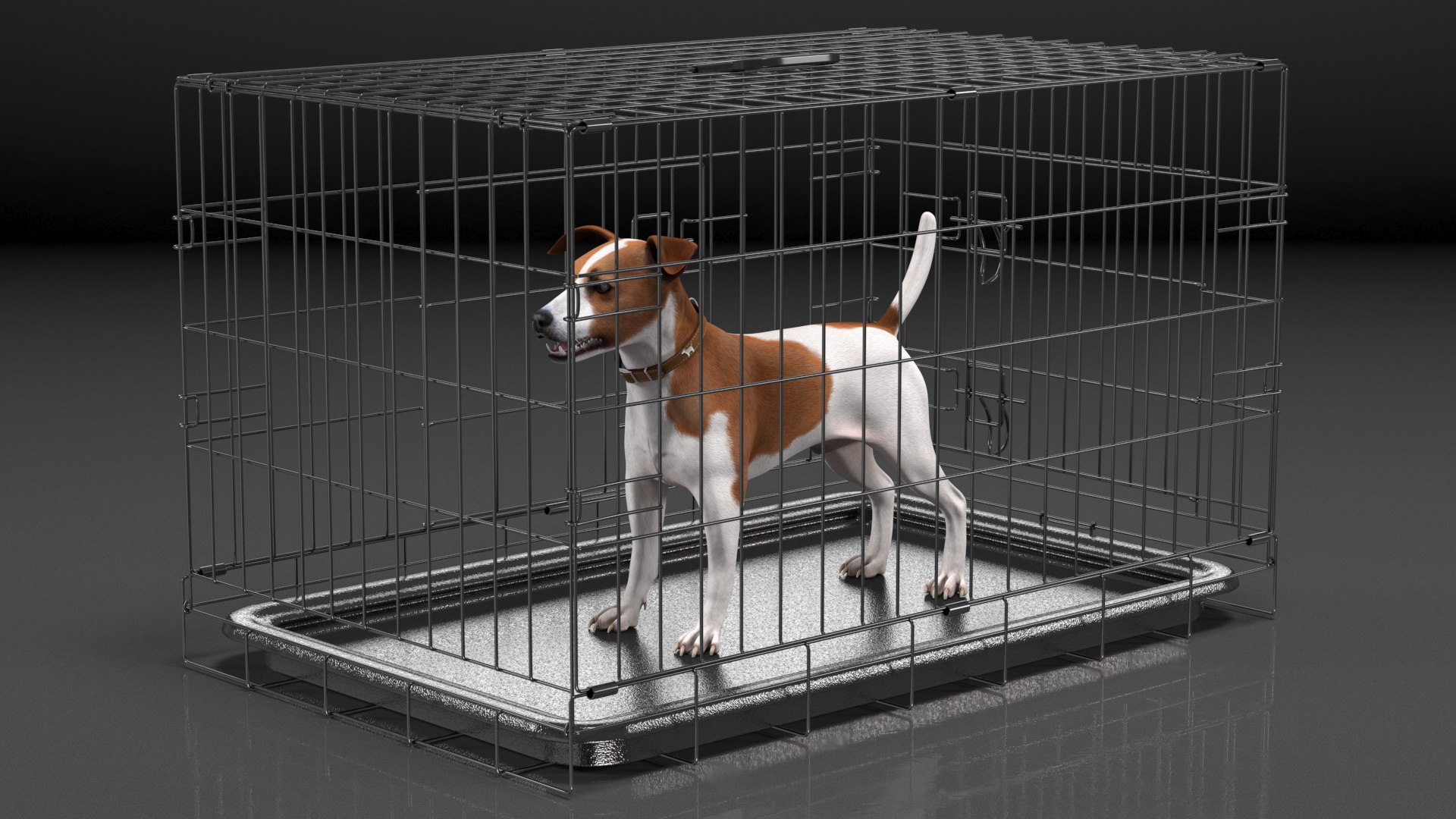 3D Cage with Jack Russell Terrier https://p.turbosquid.com/ts-thumb/Hf/clVZbu/Jd/cagewithjackrussellterrier3dsmodel006/jpg/1635434647/1920x1080/fit_q87/6e6b2f7e539bb775c1d9cbecb2444dd126df46d6/cagewithjackrussellterrier3dsmodel006.jpg