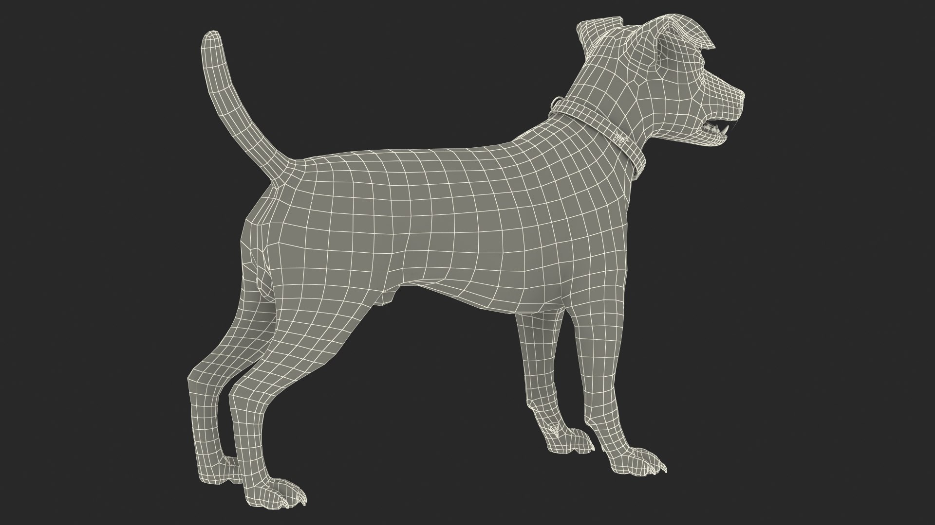 3D Cage with Jack Russell Terrier https://p.turbosquid.com/ts-thumb/Hf/clVZbu/VF/cagewithjackrussellterrier3dsmodel036/jpg/1635434732/1920x1080/fit_q87/dbe3ac183b0a3b64caabe242abe459dd0b1f3aa2/cagewithjackrussellterrier3dsmodel036.jpg