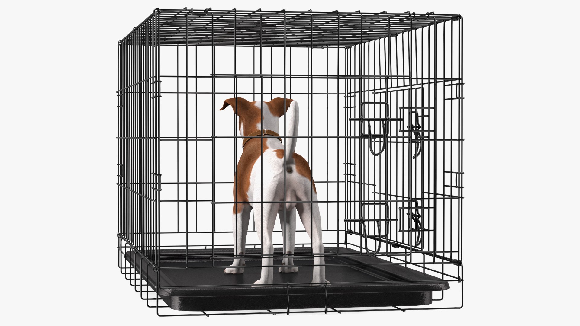 3D Cage with Jack Russell Terrier https://p.turbosquid.com/ts-thumb/Hf/clVZbu/bI/cagewithjackrussellterrier3dsmodel009/jpg/1635434658/1920x1080/fit_q87/751f736ddf95cae98773f5432719a5c65f27fcb7/cagewithjackrussellterrier3dsmodel009.jpg