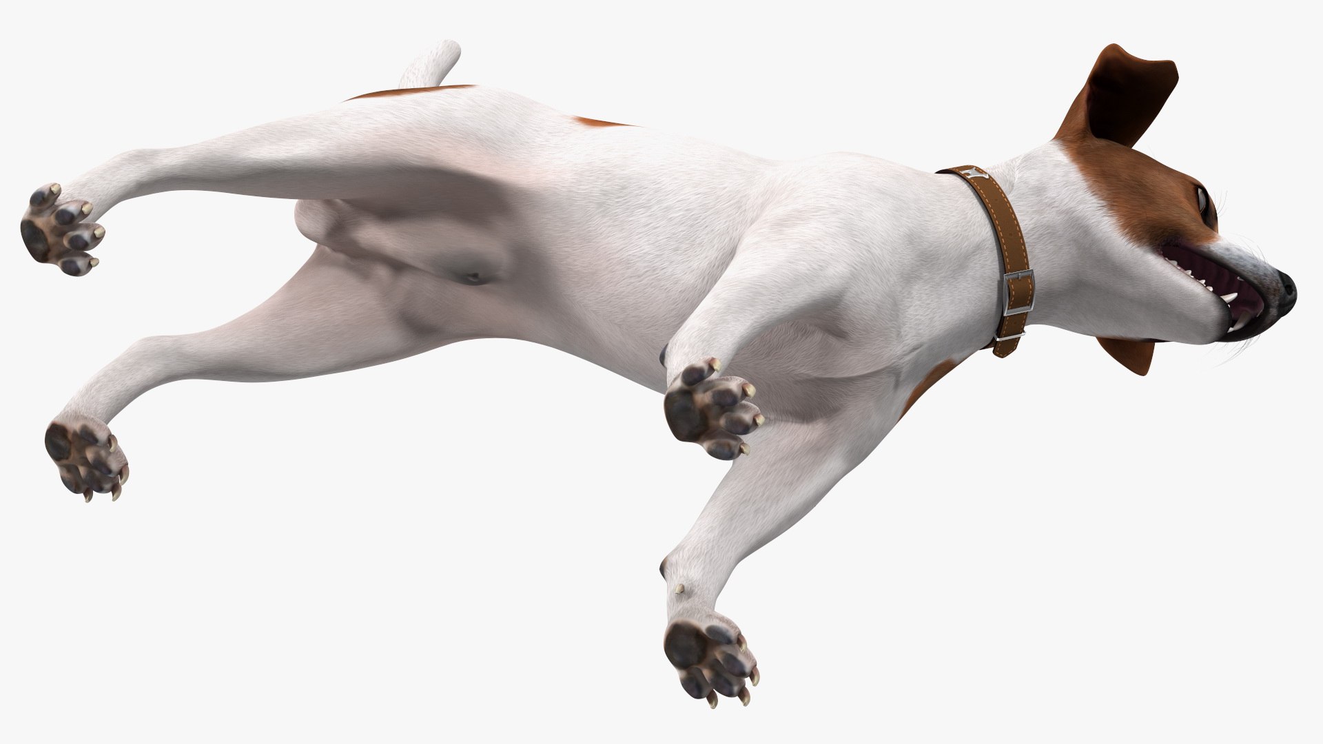3D Cage with Jack Russell Terrier https://p.turbosquid.com/ts-thumb/Hf/clVZbu/rq/cagewithjackrussellterrier3dsmodel017/jpg/1635434680/1920x1080/fit_q87/2c205f8b422831b2afb235b770bca607b633b0a6/cagewithjackrussellterrier3dsmodel017.jpg