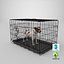 3D Cage with Jack Russell Terrier