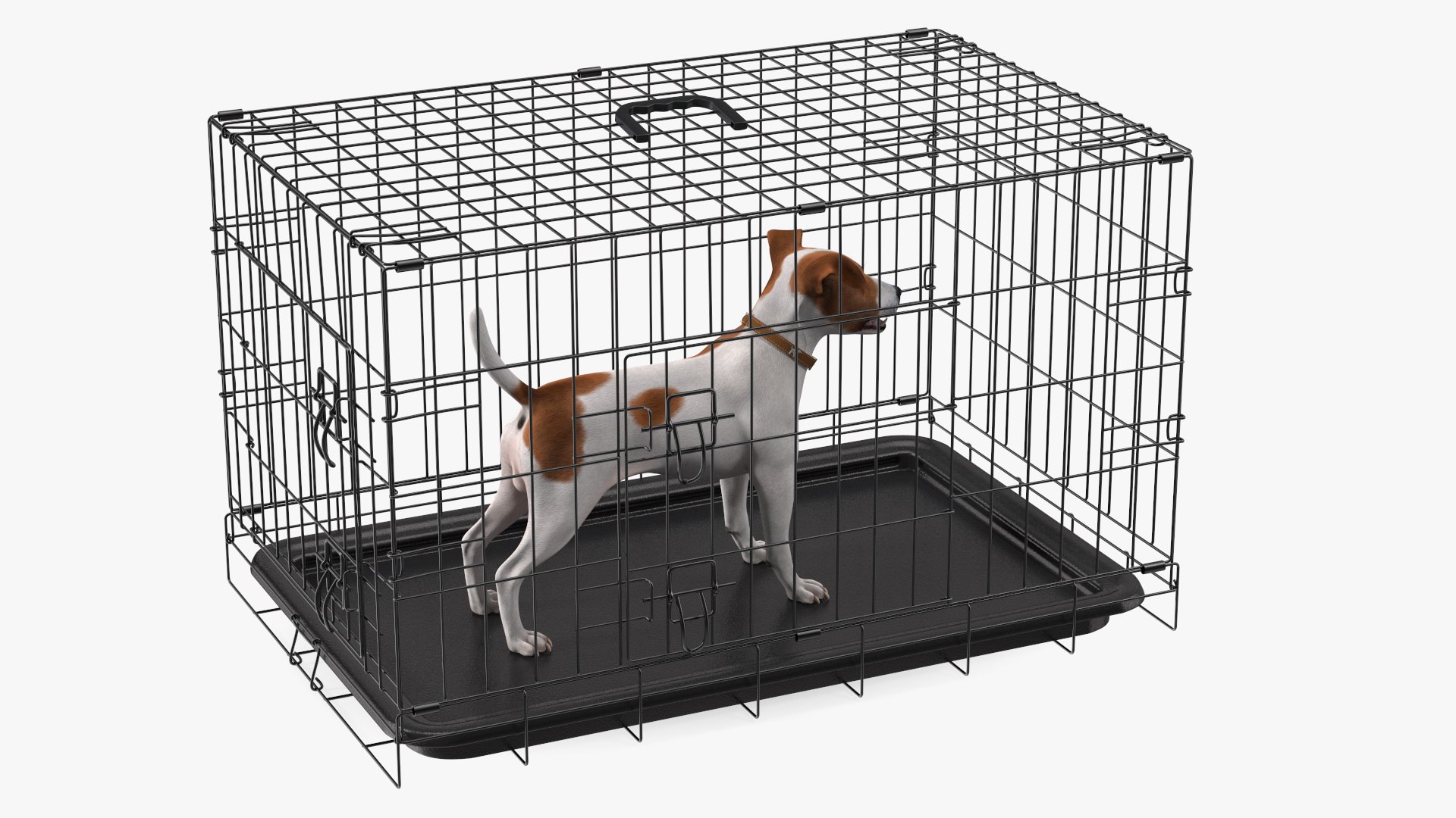 3D Cage with Jack Russell Terrier https://p.turbosquid.com/ts-thumb/Hf/clVZbu/yP/cagewithjackrussellterrier3dsmodel010/jpg/1635434661/1920x1080/fit_q87/5e5a851e8aa22f151e5f6645bcfca2026bdadd77/cagewithjackrussellterrier3dsmodel010.jpg