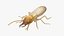 Termite Rigged for Maya 3D model