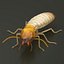 Termite Rigged for Maya 3D model