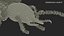 Termite Rigged for Maya 3D model