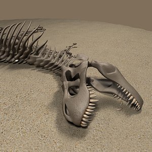 t rex 3D model