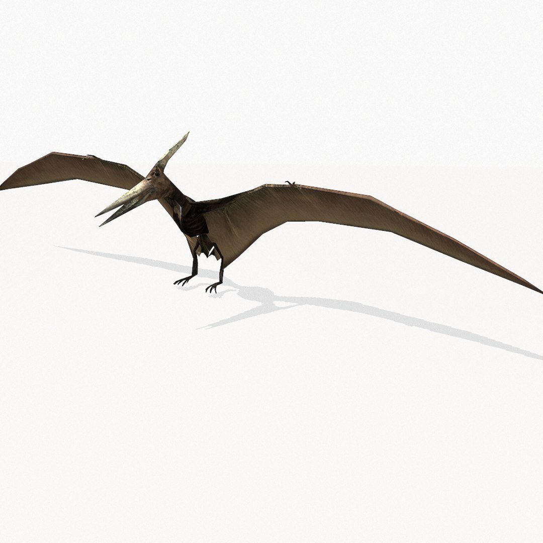 Second Life Marketplace - PTERANODON ~ Mesh Pterosaur Avatar