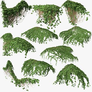 3D ivy p3 model