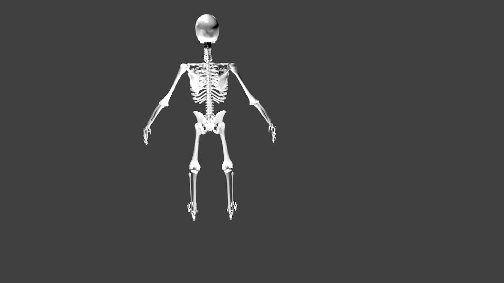 human skeleton model https://p.turbosquid.com/ts-thumb/Hg/67xtKK/KZp8med5/back/jpg/1520898727/1920x1080/fit_q87/2a09022d5c43b6cf891fe4f33175f88b095dd522/back.jpg