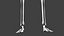 Human Skeleton
