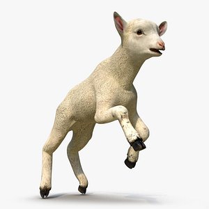 max lamb pose 3