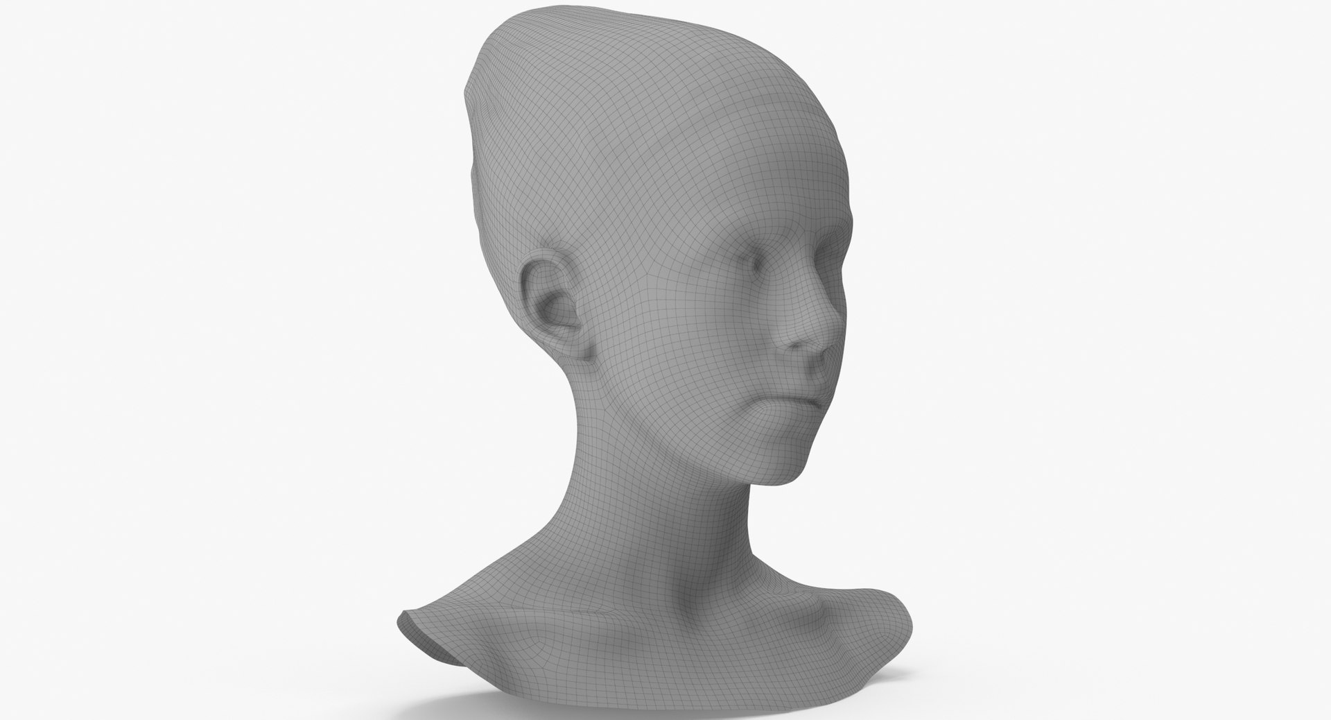 3D rhea human head jaw https://p.turbosquid.com/ts-thumb/Hg/HBWMuE/UznpYxoG/rhea_human_head_jaw_side_ways_left_au30_wireframe_0003/jpg/1607964307/1920x1080/fit_q87/5d62a7a29d9da45537d3a353bca97ffff29e78e8/rhea_human_head_jaw_side_ways_left_au30_wireframe_0003.jpg