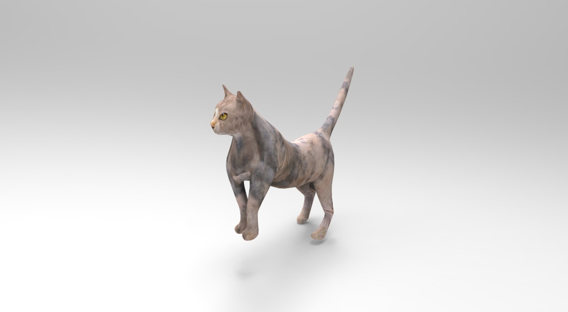 3D cat rigged | 1142714 | TurboSquid