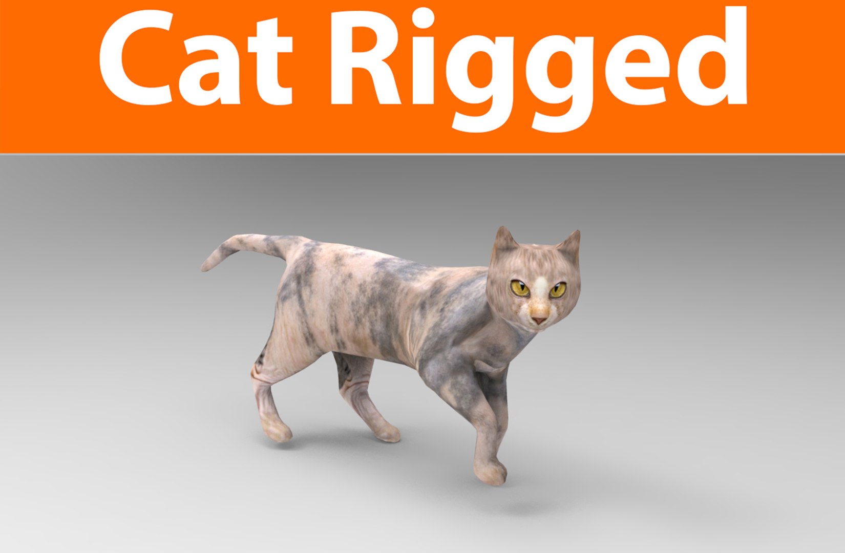 3D Cat Rigged | 1142714 | TurboSquid