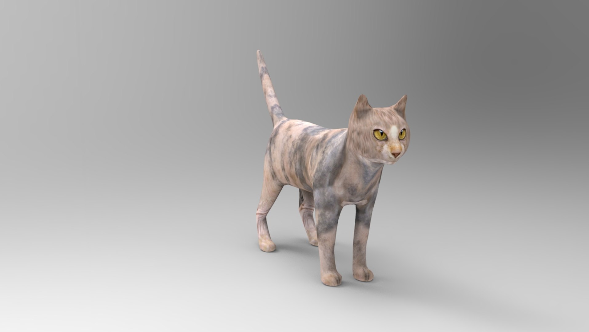 3D cat rigged | 1142714 | TurboSquid
