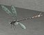 Model robota Dragonfly