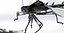 Model robota Dragonfly