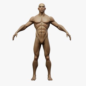 3D Adult Models - Browse & Download Formats - TurboSquid