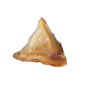 Samosa